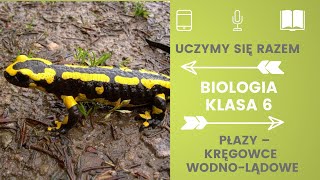 Biologia klasa 6 Stawonogi Uczymy się razem [upl. by Ymorej]