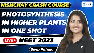 Photosynthesis In Higher Plants in One Shot  NEET 2023  Nishchay Crash Course  Seep Pahuja [upl. by Odrareg81]