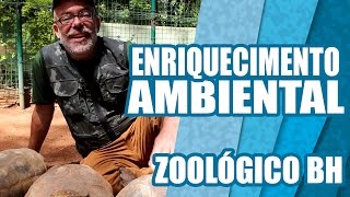 Enriquecimento Ambiental  Zoológico BH [upl. by Ahtnahc]