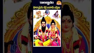 🙏మార్కాపురం వద్ద బంగారు ఎద్దులు 🙏 kalagnanam brahmamgaru ytshorts youtubeshorts [upl. by Sarena518]