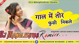 Gaal Me Tor Funsi Nikle New Nagpuri Dj Mix Dance Mix hemdjzonepasla djvkr nagpurinagpuridjsong [upl. by Annohsal]