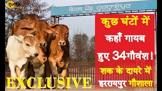 गौशाला से कुछ घंटों गायब हुए 34 गौवंश शक के दायरे में यह गौशाला [upl. by Nyliak]