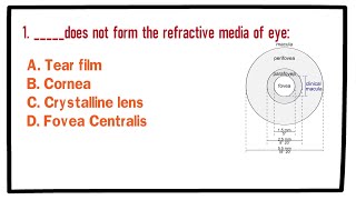 MCQ  Physiology of Eye and Vision [upl. by Asilad]