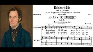 Franz Schubert  Heidenröslein Sheet music and lyrics [upl. by Newlin]