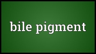 Bile pigment Meaning [upl. by Bull]