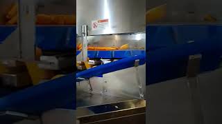 Bottle washing machine in pharma industry [upl. by Anires48]