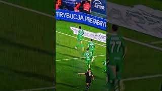 radomiak 20 puszcza goals [upl. by Gibbeon]