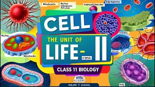 Cell Structure amp Function Revealed Class 11 Biology Insights [upl. by Sidonnie949]