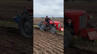 Massey Ferguson 35 Ploughing at Lindholm Doncaster 4th March 2023 [upl. by Lindi]