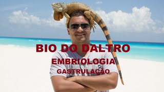 EMBRIOLOGIA  PARTE 03  GASTRULAÇÃO [upl. by Ettenna240]