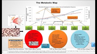 Describing Training Zones Dr Inigo San Millan [upl. by Adnoved]