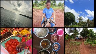 WEEKLY VLOG  TRAVELLING BY ROAD  PASSING BY PASTOR EZEKIELS CHURCH  COOKING  MY VILLAGE LIFE😿 [upl. by Soraya558]