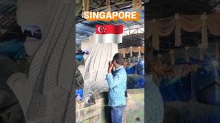 Merlion Statue  New words to learn 📝Improving your English 😊🙏Please LIKE SHARE SUBSCRIBE shorts [upl. by Rex]