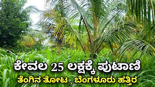 JUST 25 LAKH  SMALL COCONUT FARM LAND SALE NEAR BENGALURU RAMANAGARA CHARAN 7338474634 [upl. by Assilrac]