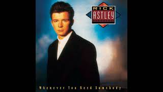 Rick Astley  Never Gonna Give You Up Meenanitia Mix [upl. by Korella]