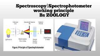 Spectrophotometer working [upl. by Ayidan]