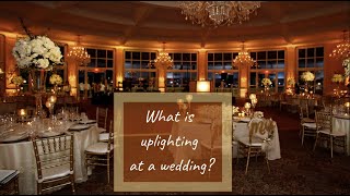 uplighting for weddings [upl. by Fleisig]