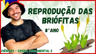 CICLO REPRODUTIVO DAS BRIÓFITAS  8° ano  Aula completa  CIÊNCIAS 2021  Ensino fundamental 2 [upl. by Einon]