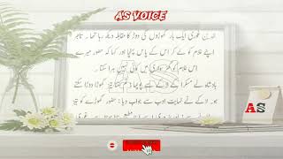 Qutb aldin Aibak Story in Urdu  Turkeys Best Story in UrduHindi  Sabaz Amoz Kahani Urdu  AS Vo [upl. by Kristos468]