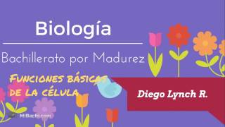 Biología  Bachillerato por Madurez  Lección 3 [upl. by Donica949]