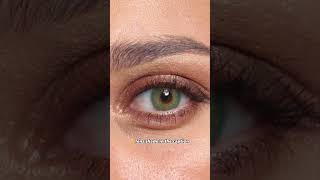 Rich and Natural Green Color Contact Lenses for Brown Eyes  Review of Solotica Green Contact Lenses [upl. by Enalda624]