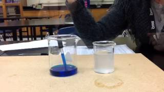 Salinity Lab Demonstration [upl. by Ecnarual]