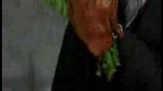 Scary movie 2Fucked up hand person [upl. by Llenrub]