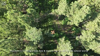 Treeswift building forest inventories powered by robotics and AI [upl. by Dugas]