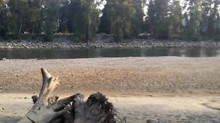 Garrett Ace 300 testing on sand at the river [upl. by Shuler]