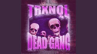 DEAD GANG Slowed [upl. by Annaynek]