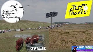 TDF 2023 Le Syndicat salers du Puy de Dôme au col de la Volpière avec Ovalie et la fresque géante [upl. by Halliday]