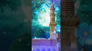 naat l Sharif l shorts youtubeshorts vairal naat ytshorts islamicvideo naat [upl. by Idnek]