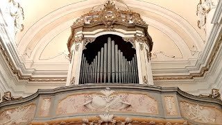 PARADISI  TOCCATA  ORGAN [upl. by Decamp]