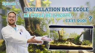 EPISODE 1  CREATION DE LAQUARIUM ET LE CYCLE DE LAZOTE  BAC ECOLE  ANI MOOD [upl. by Mcclimans]