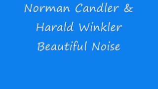 Norman Candler amp Harald Winkler  Beautiful Noisewmv [upl. by Stoneham]