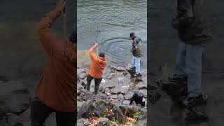 Its not easy to put a really big salmon in a net I ❤️ salmon fishing Vedder river Canada 🇨🇦 10 [upl. by Linda]