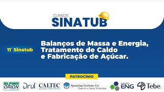 11º SINATUB  SABRINA C CONDI  FERMENTAÇÃO EFICIENTE TÉCNICAS PARA AUMENTAR A PRODUÇÃO DE ETANOL [upl. by Raquel]