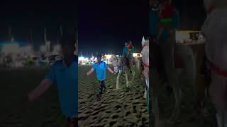 Horse 🐎ride horse naushvlogs ammu [upl. by Solotsopa]