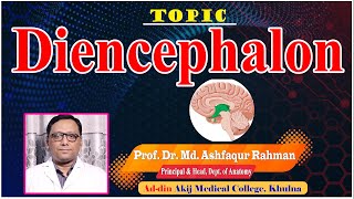 Diencephalon II Prof Dr Md Ashfaqur Rahman II Dept Of Anatomy II AAMC II Online Class II [upl. by Monteria]