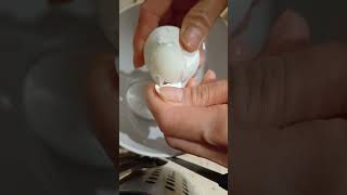 asmr very satisfying sound fr9m cracking eggs viralvideos egg viralvideos ytshorts watch [upl. by Alicec]