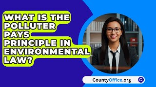 What Is The Polluter Pays Principle In Environmental Law  CountyOfficeorg [upl. by Lounge694]