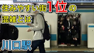 【60万都市川口】京浜東北線南行き最混雑区間の混雑状況 [upl. by Aciraj]