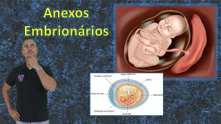 Revisão ENEM  Embriologia  Anexos embrionários [upl. by Mendive]