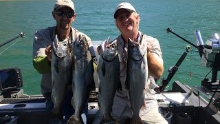 Lake Berryessa King Salmon [upl. by Zachary]