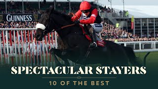 TOP 10 STAYERS HURDLES AT THE CHELTENHAM FESTIVAL [upl. by Ecinereb711]