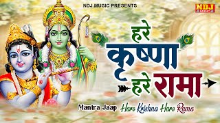 हरे कृष्ण हरे कृष्णा हरे राम हरे रामा  Hare Krishna Hare Rama  Iskcon Kirtan hareramaharekrishna [upl. by Yelram]