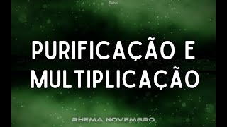 Culto Purificação e multiplicação [upl. by Lamarre]