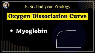 Oxygen dissociation curve of myoglobin II B Sc IInd year II Zoology [upl. by Seraphine]