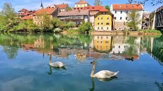 Walking Tour Old City 4K in Slovenia ASMR Walk Along the streets Nature Sounds Travel Blog [upl. by Aspa]