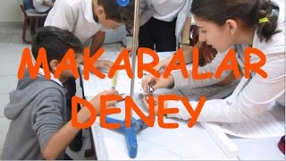 MAKARALAR deney tartışma ve açıklama [upl. by Rodolphe205]